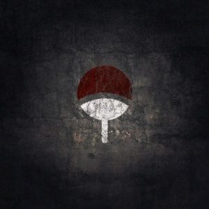 Meet your Posher, Allan